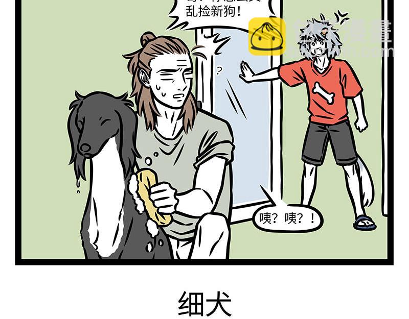 第355话 细犬-第360话