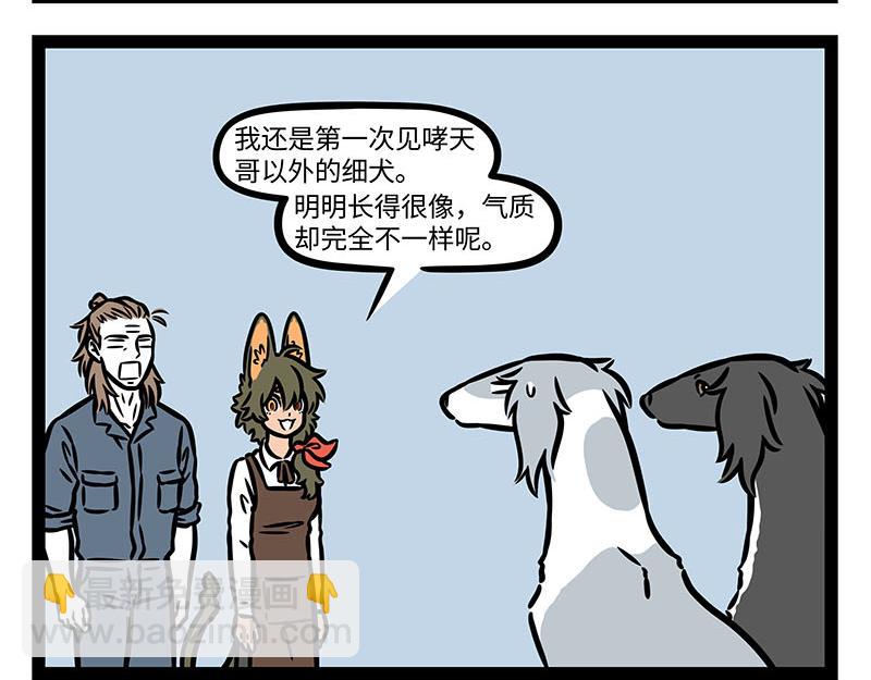 第355话 细犬-第360话