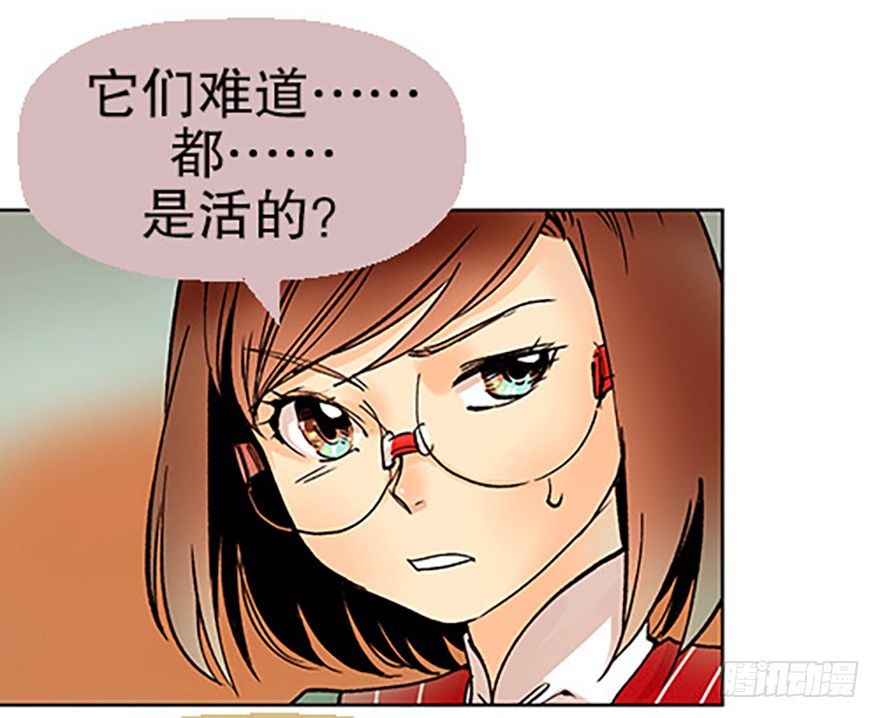 🍻飞仙学园×非仙少女 法宝的“心” 第34页
