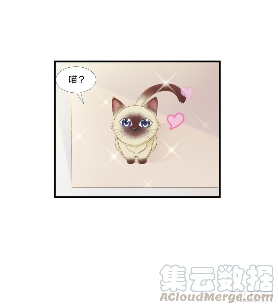 第50话 你们一起去吧-第50话