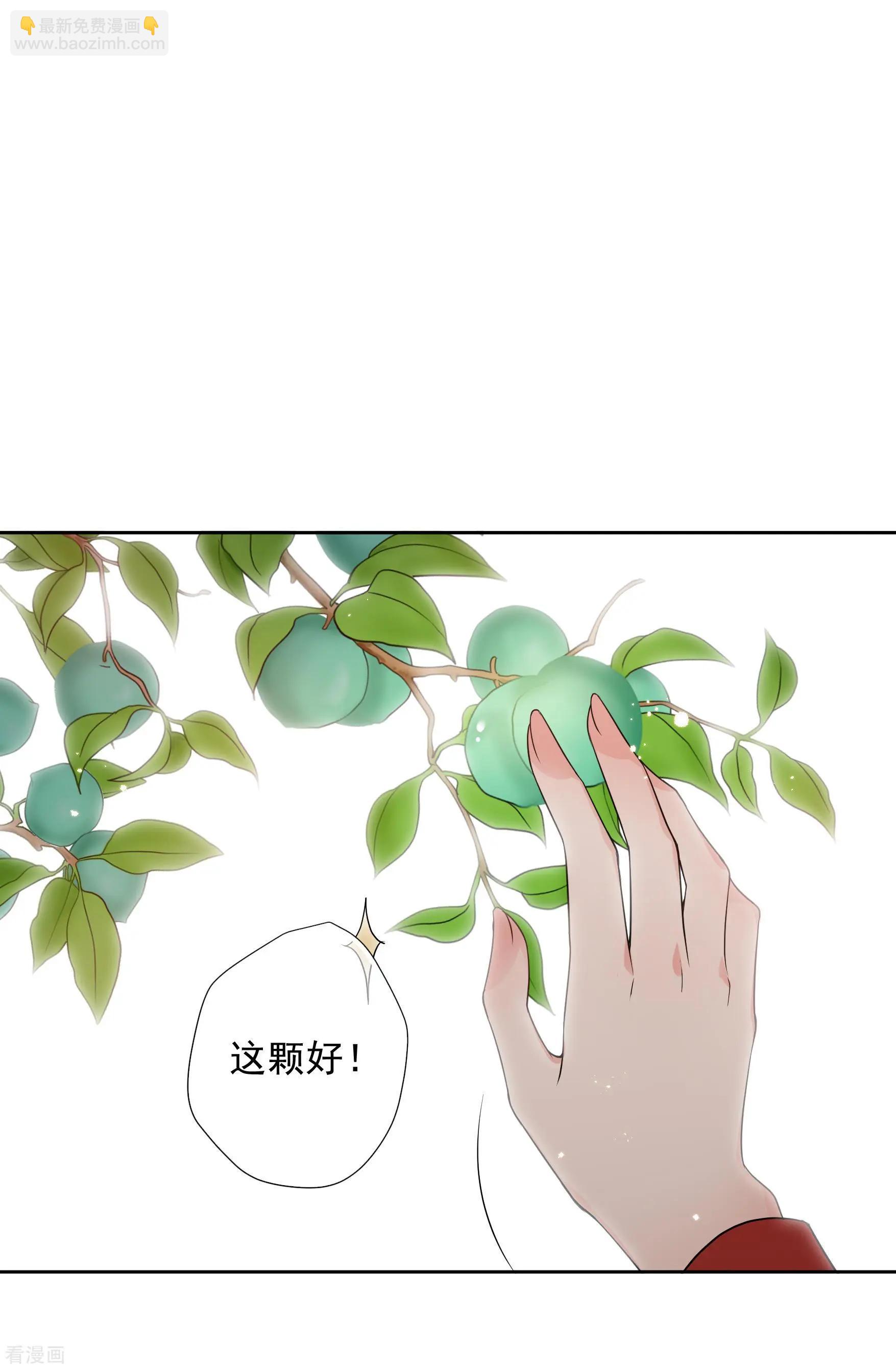 第2季第41话 轻眉？青梅！3-第240话