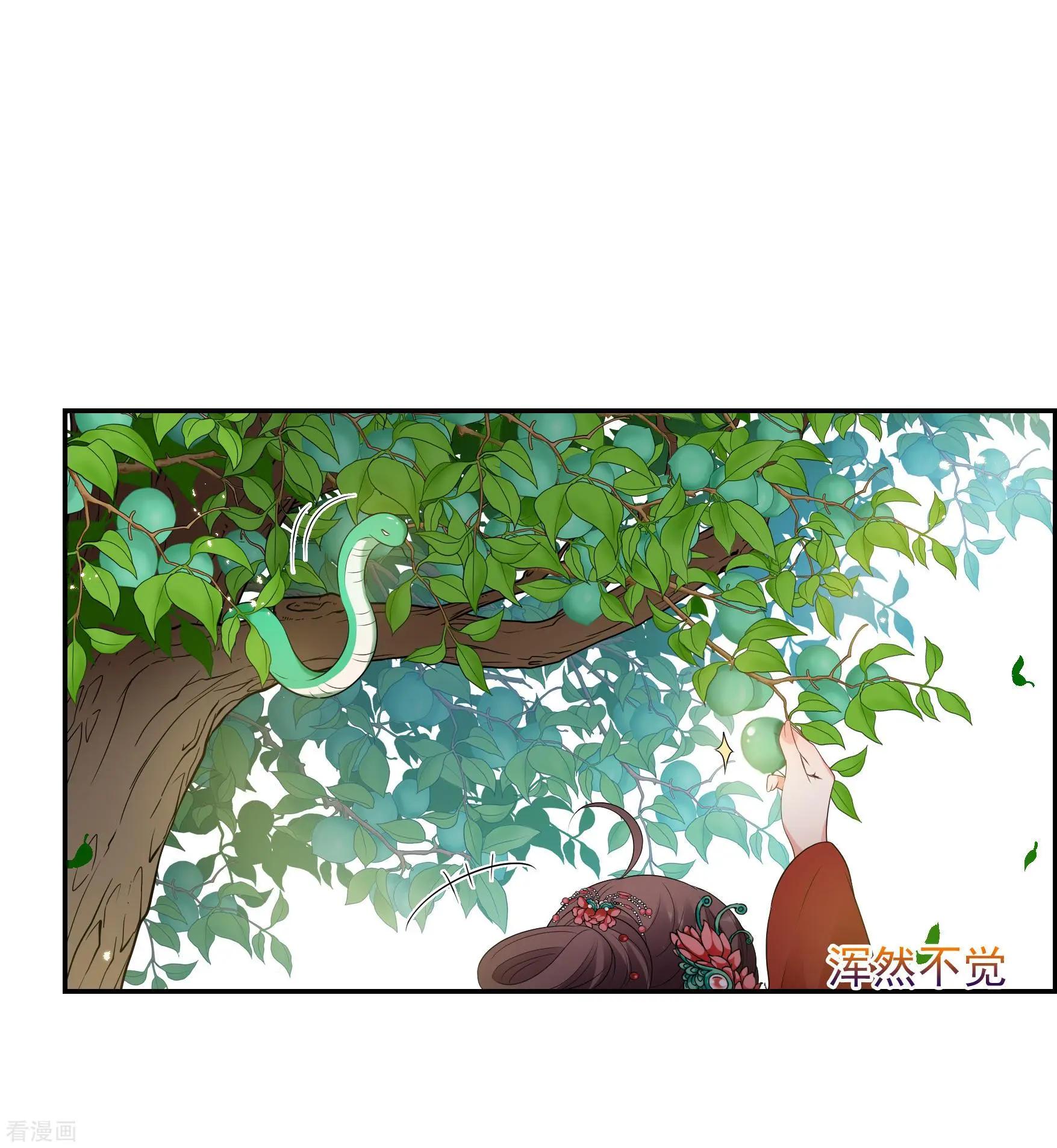 第2季第41话 轻眉？青梅！3-第240话