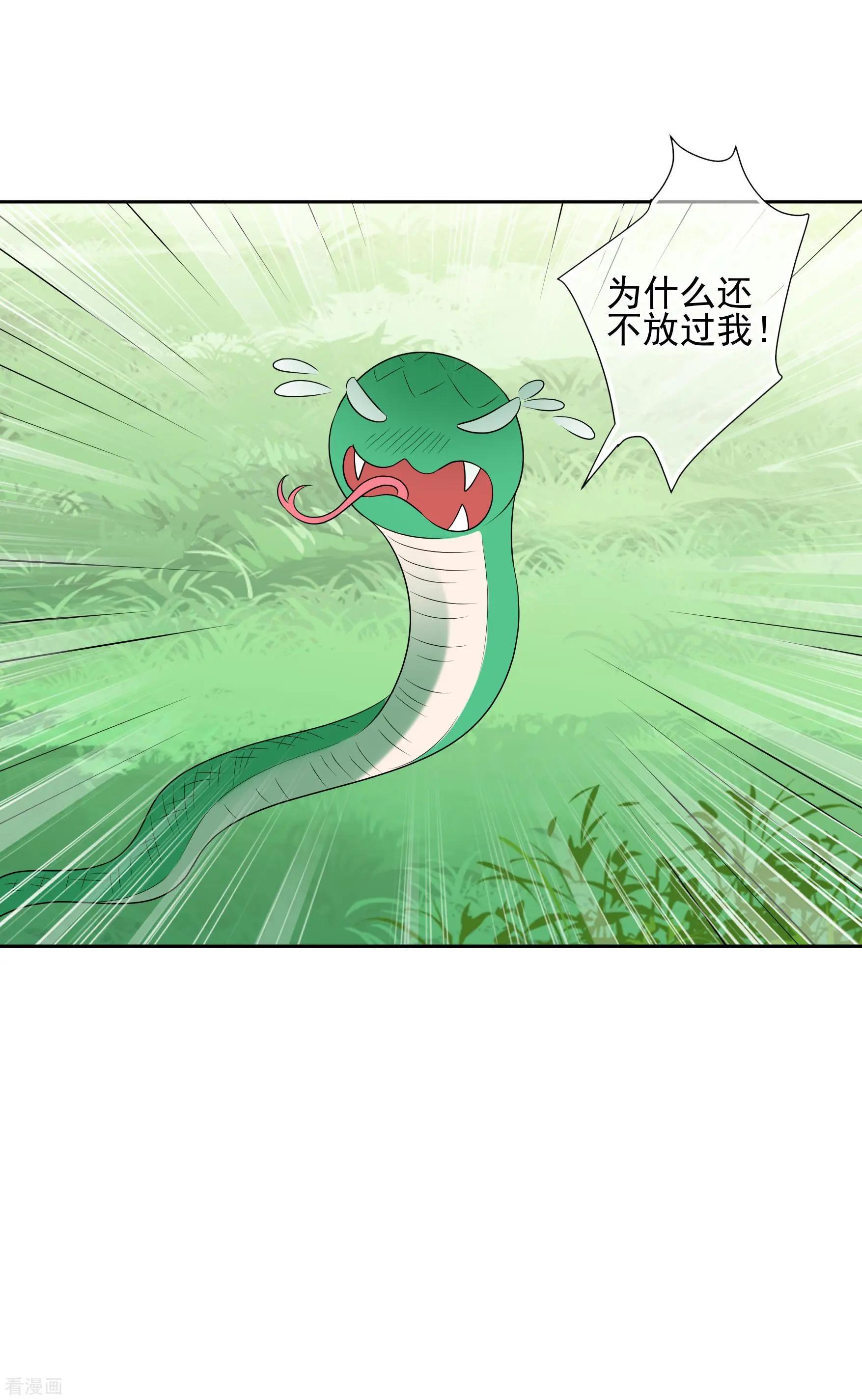 第2季第41话 轻眉？青梅！3-第240话