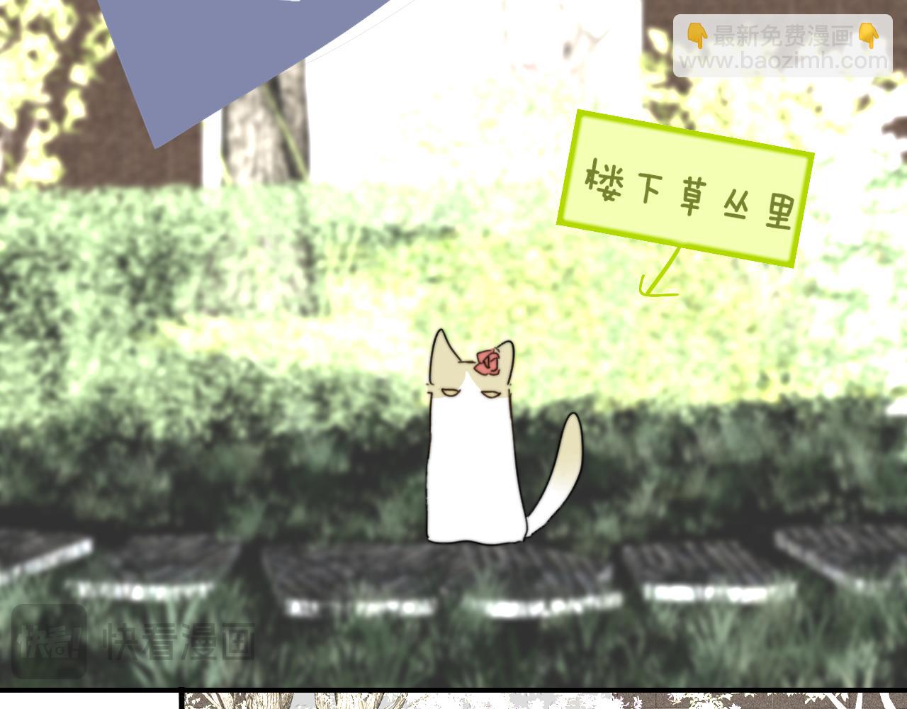 🍻非友人关系 小剧场 猫猫，皇上 第18页