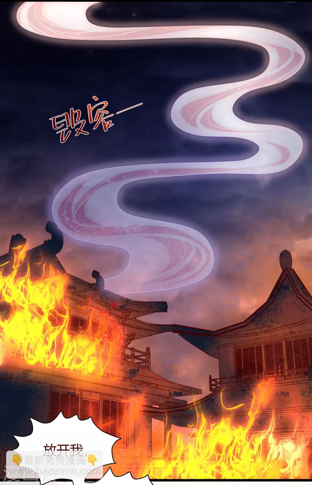 第1话 毁容王妃遭唾弃(1/2)-第2话