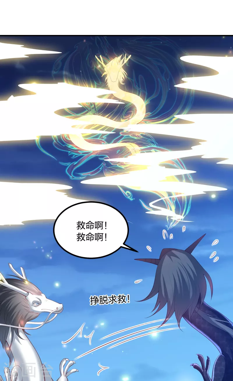 第247话 群龙大会-第260话