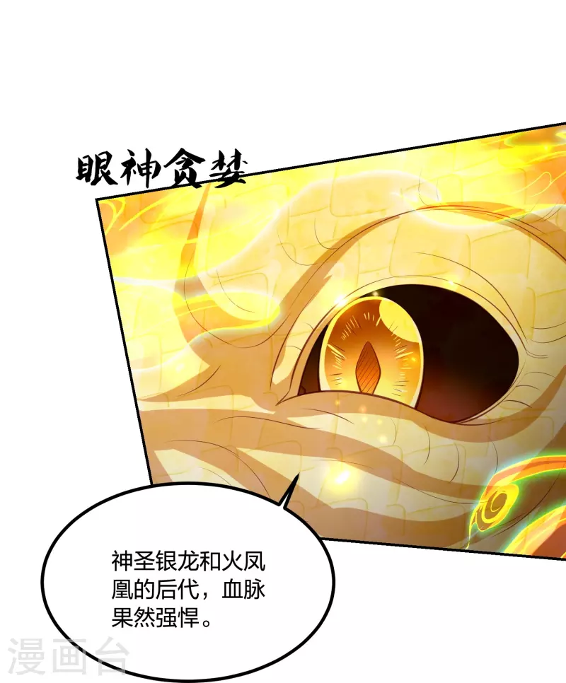 第247话 群龙大会-第260话