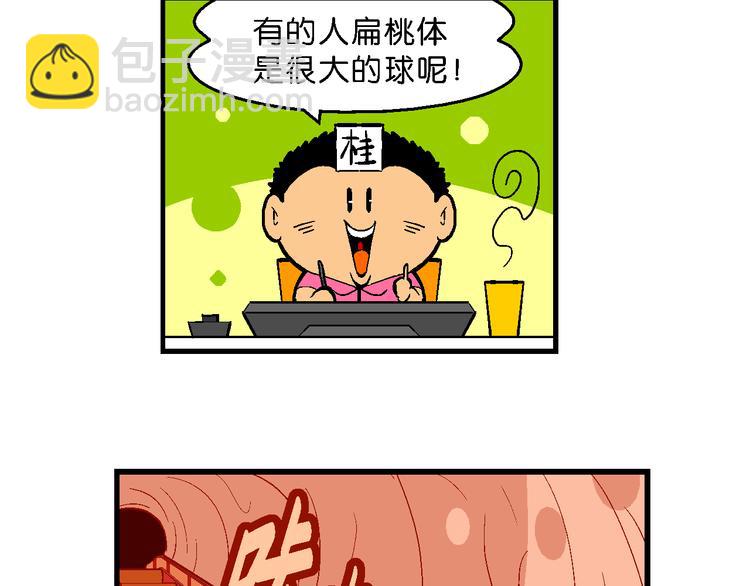 第14话 桂宝小世界之人体旅游(1/2)-第14话