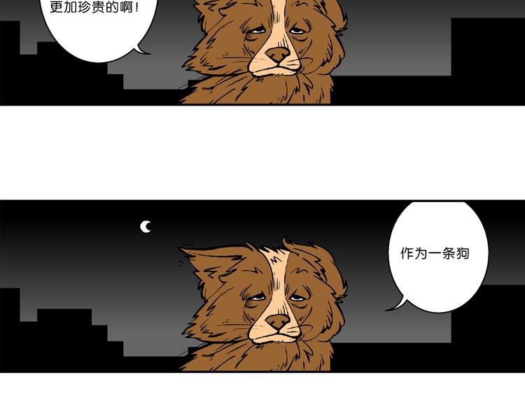 第36话 特疯脑洞系列（13）-第36话
