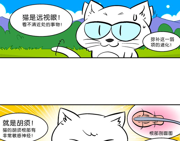 第56话 脑洞系列（21）-第56话
