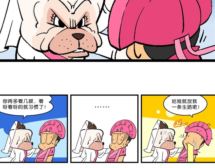 第10话 新白喵传(1/2)-第10话