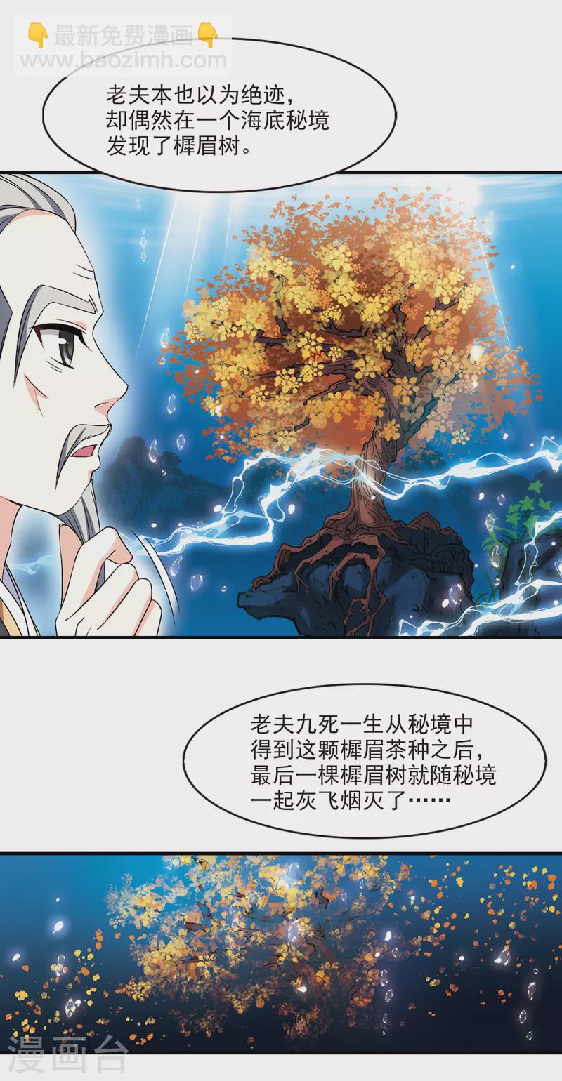 🍻风起苍岚 第2季96话 阵法师的遗愿3 第17页