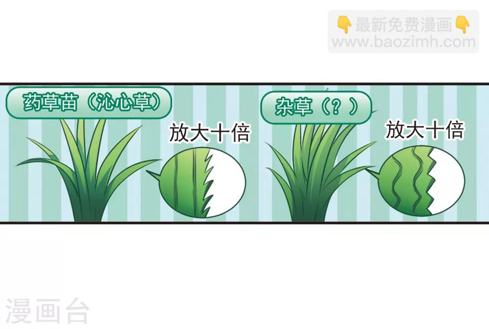 🍻风起苍岚 第80话 小林师兄1 第29页