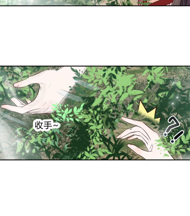 第7话 死里逃生(1/2)-第8话