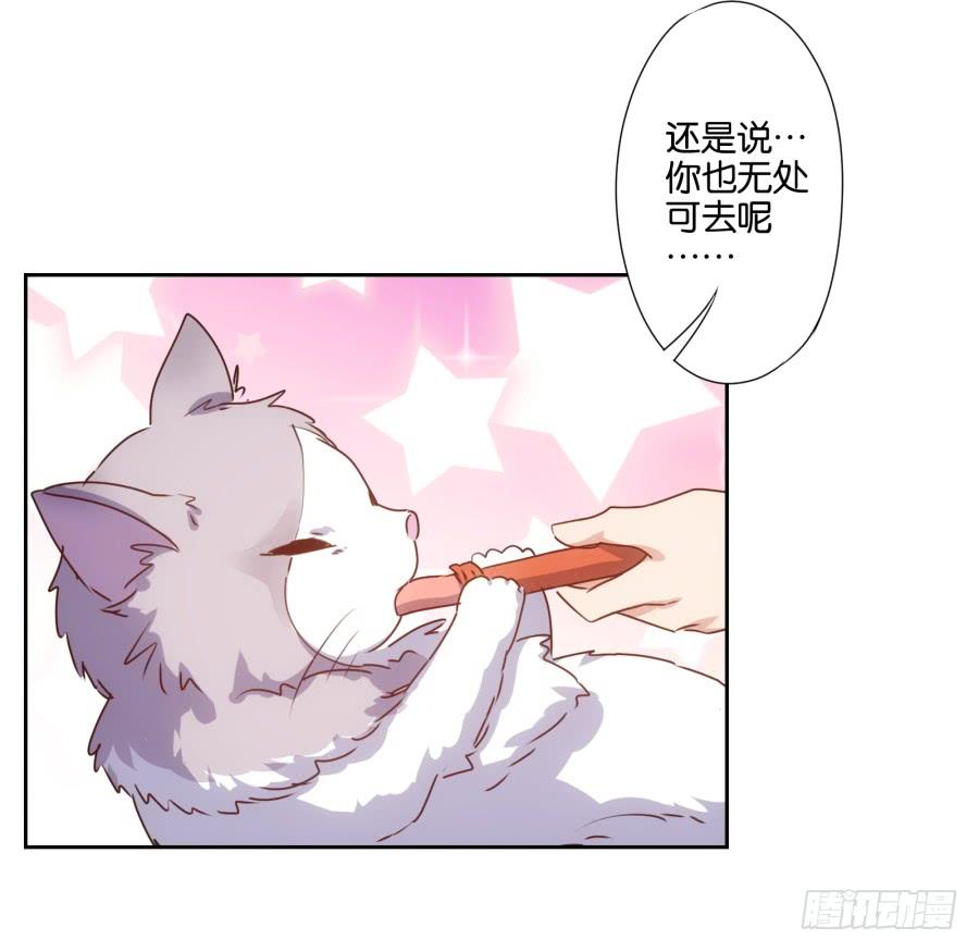 我嗅到了阴谋的味道！-第62话