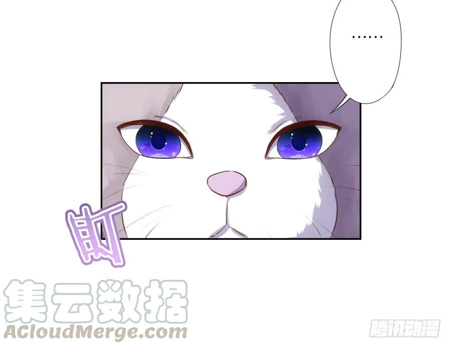 我嗅到了阴谋的味道！-第62话