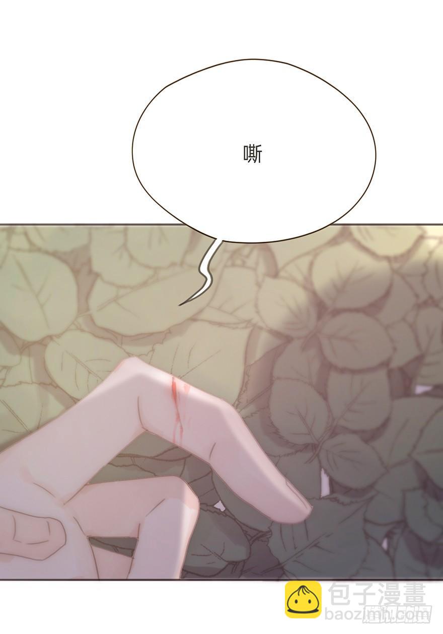 我的美人（十五）(1/2)-第40话