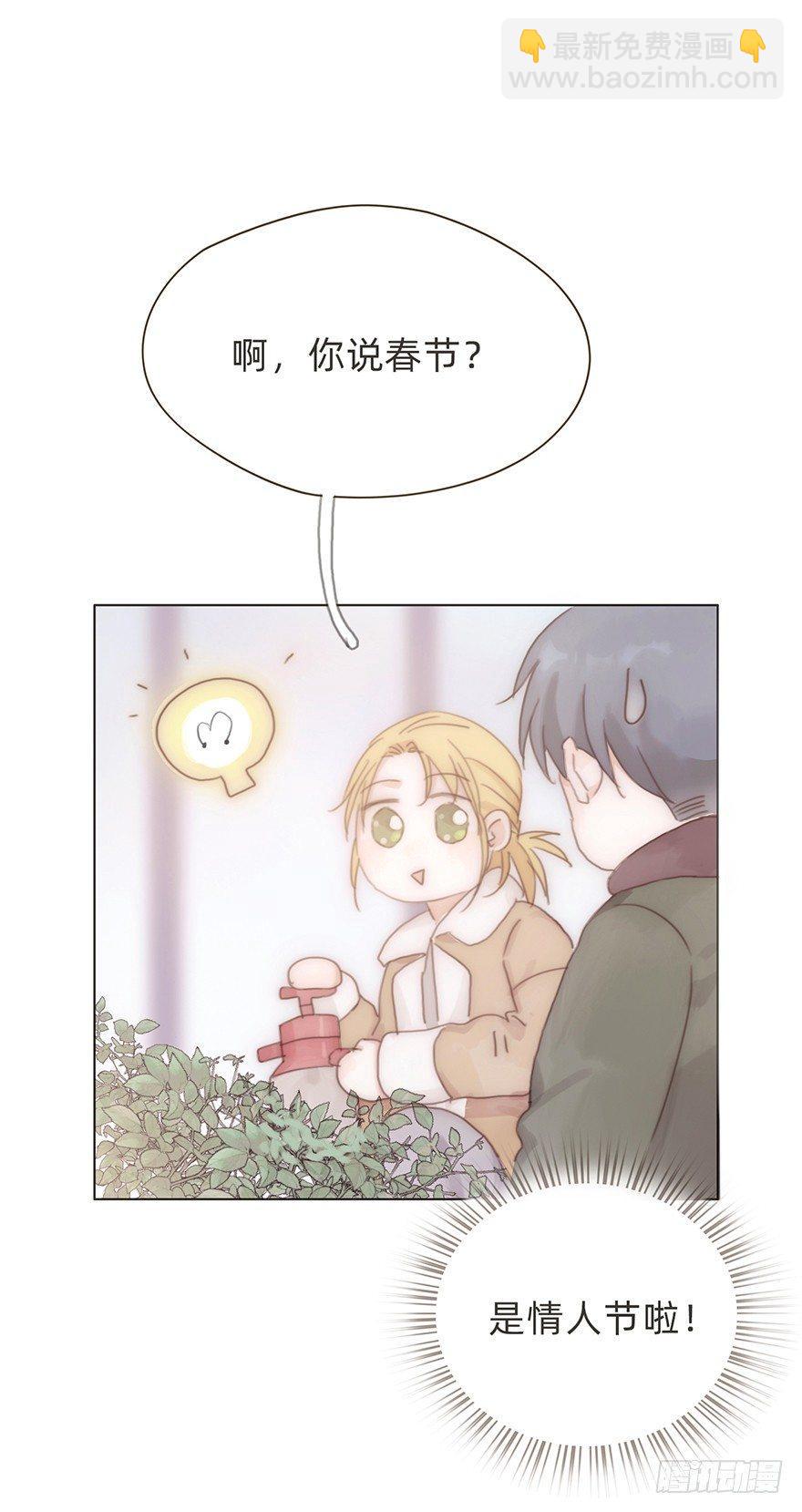 我的美人（十五）(1/2)-第40话