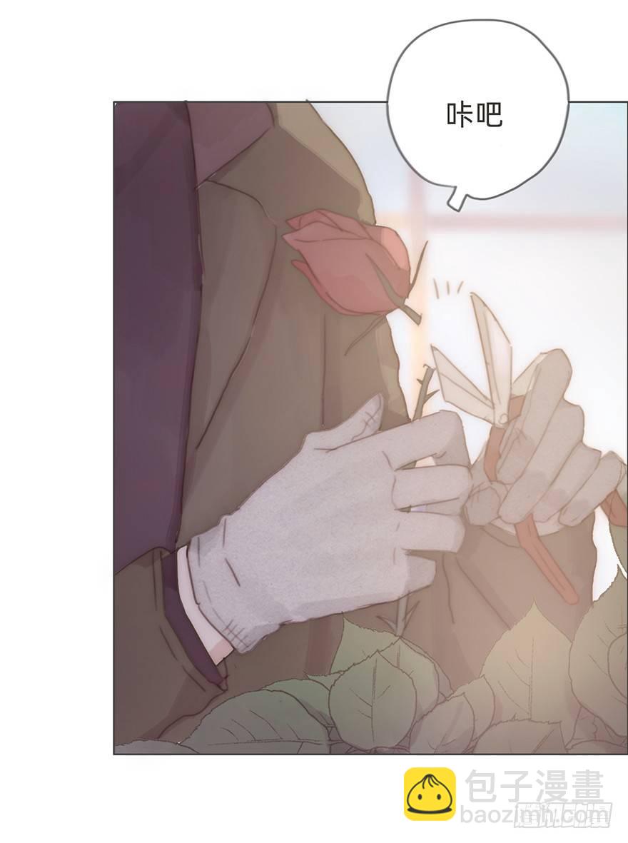 我的美人（十五）(1/2)-第40话