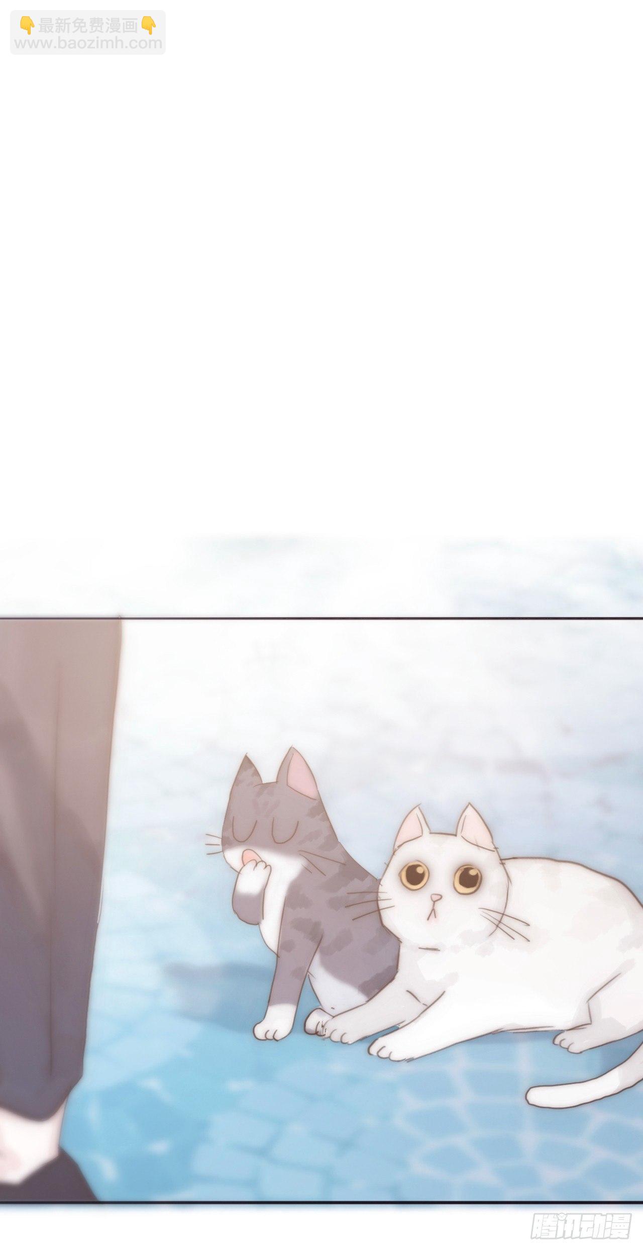 蜜糖陷阱（九）(1/2)-第58话