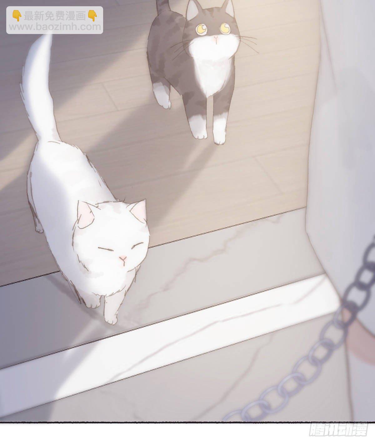 蜜糖陷阱（十六）(1/2)-第68话