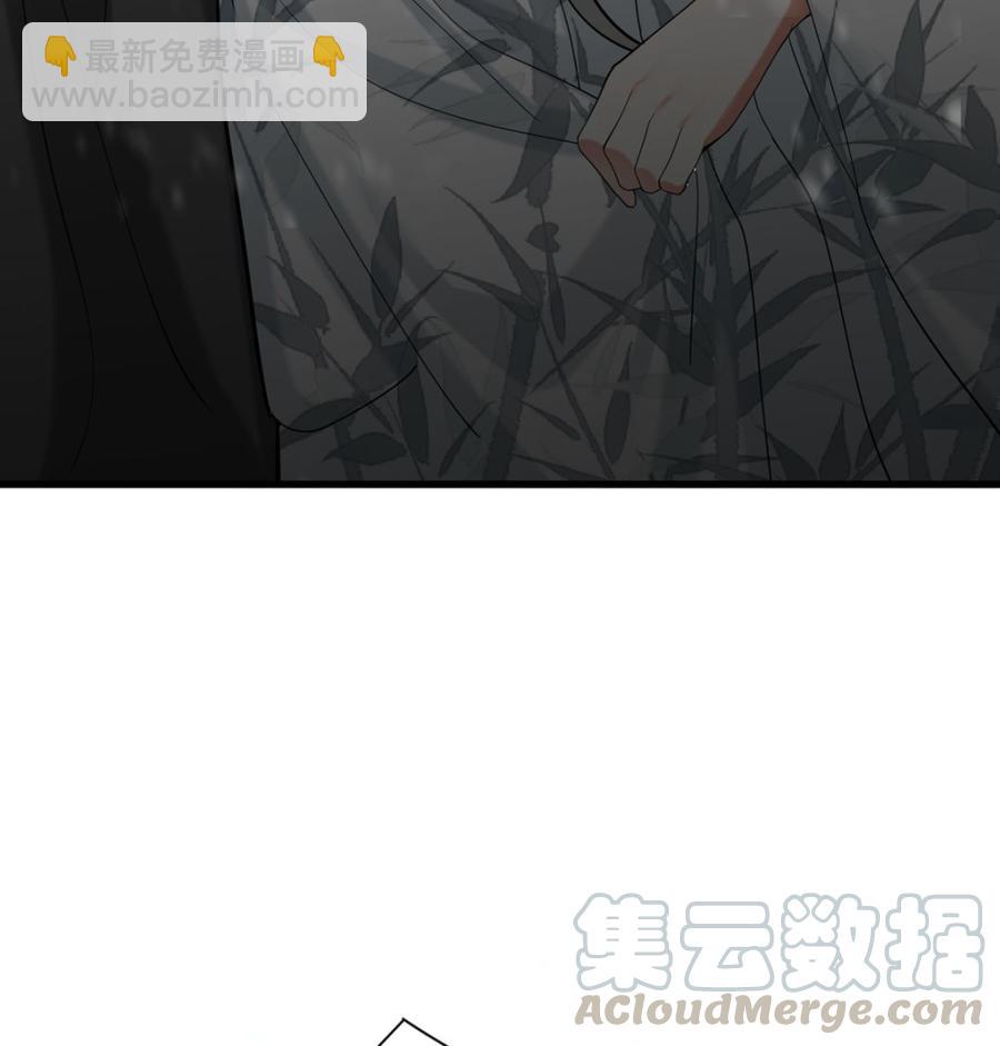 第195话 我绝不会再与容恬分开(1/2)-第194话