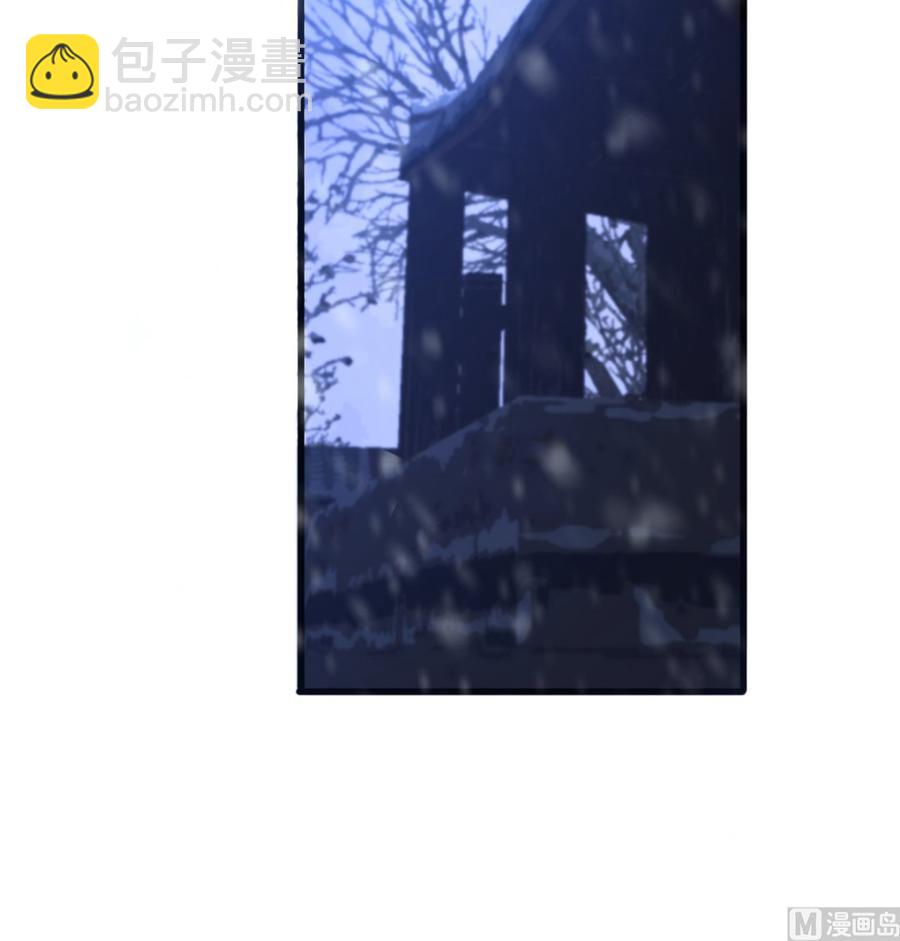 第195话 我绝不会再与容恬分开(1/2)-第194话