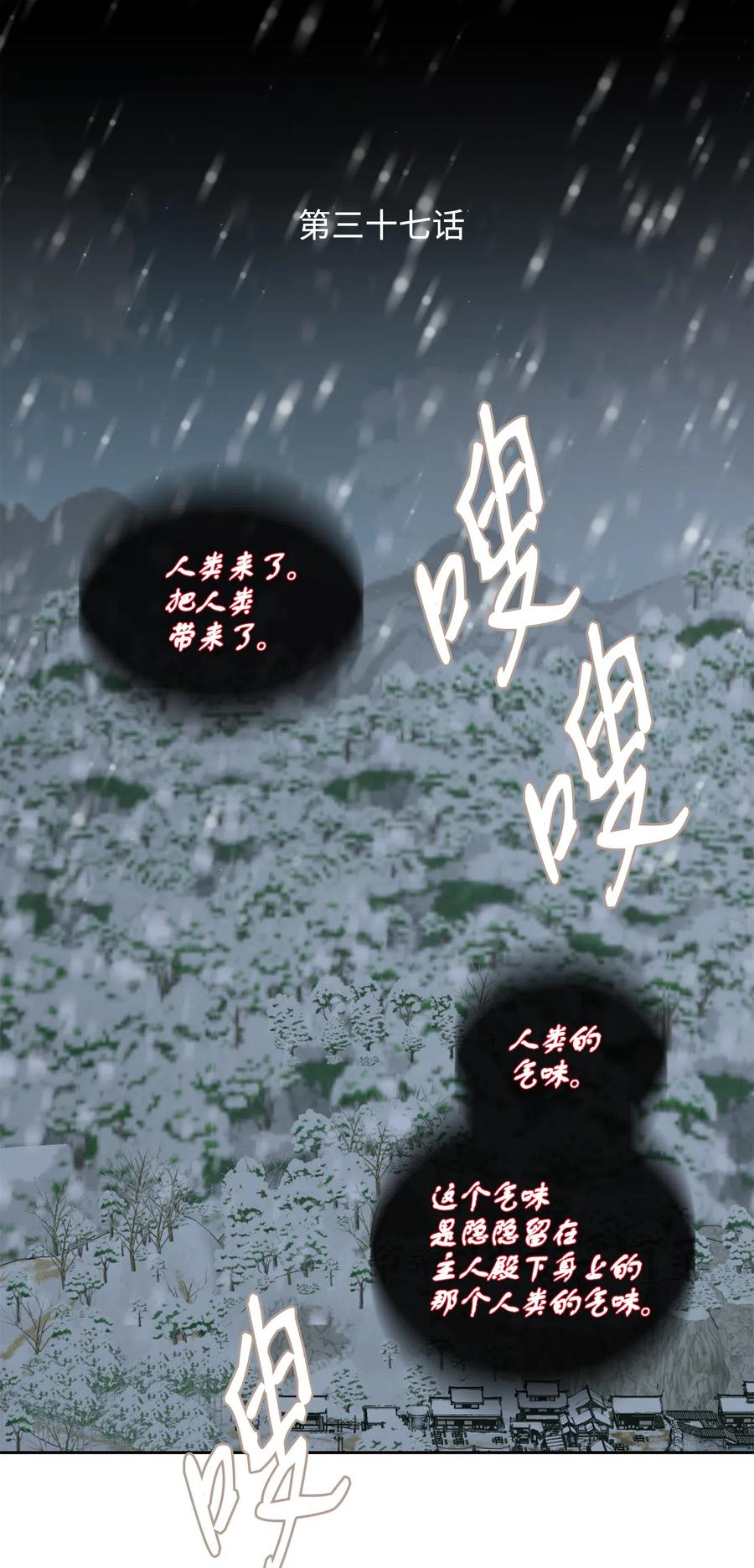 37 喜欢(1/2)-第38话