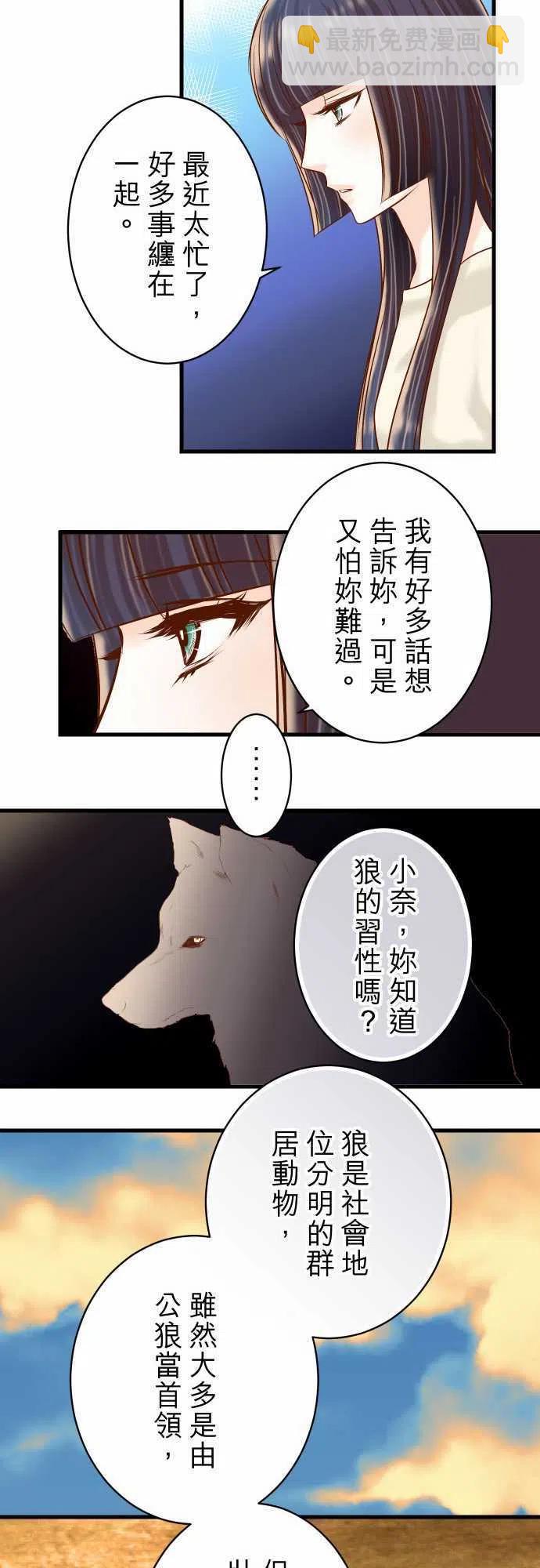 🍻复仇要冷冷端上 第三章狼群87 好胜 第12页