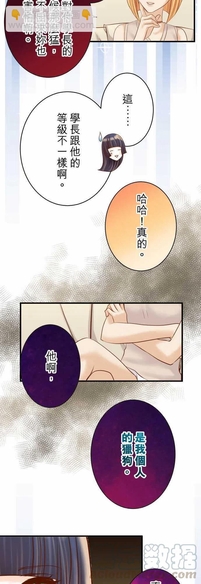 🍻复仇要冷冷端上 第四章衔尾蛇131-投石 第19页