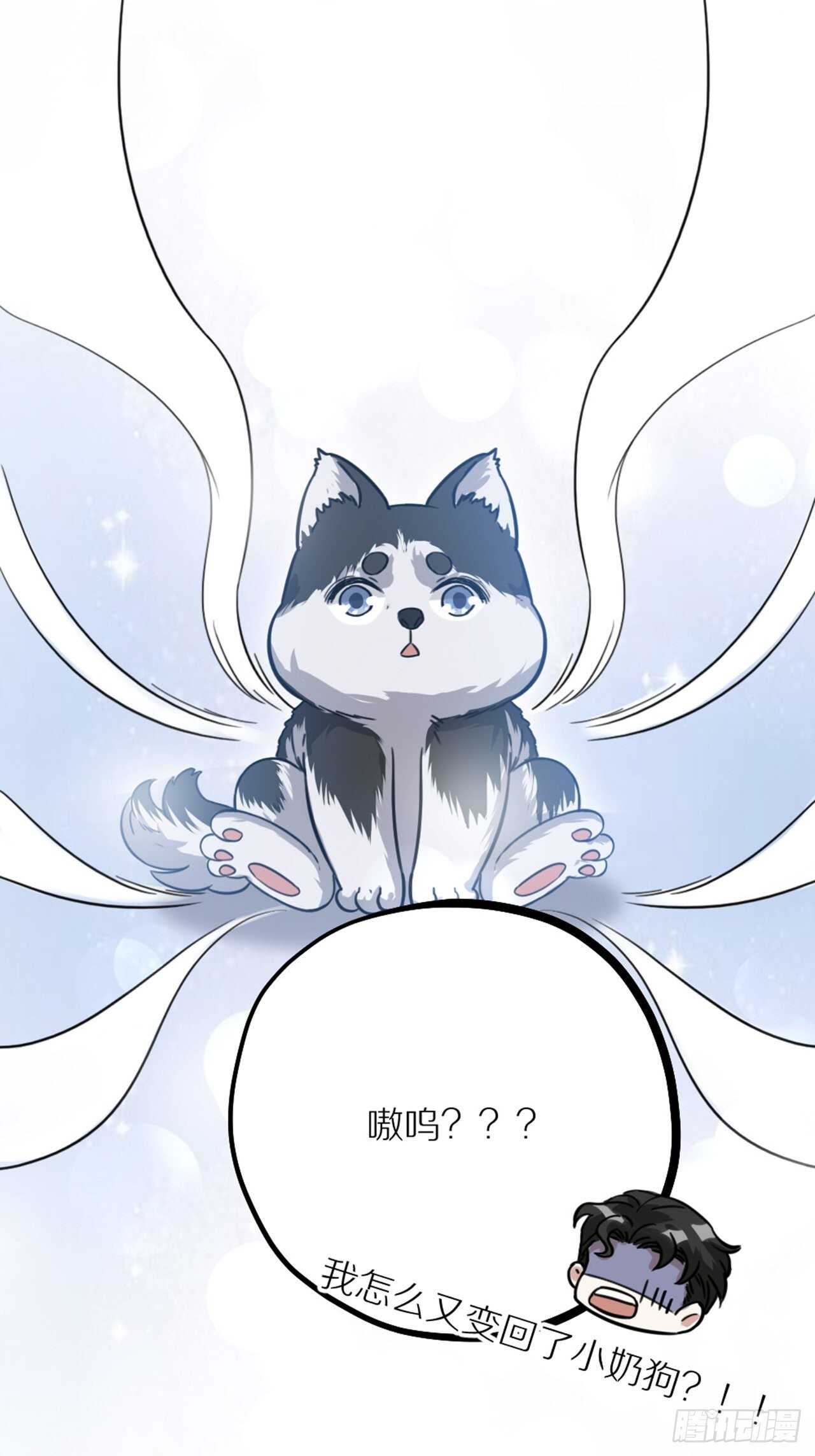 第41话 狼狈-第44话