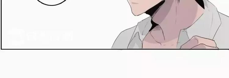 第4话  寄人篱下的小野猫-第4话