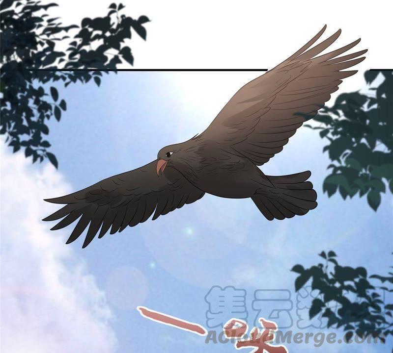 第139话 这是朕的鸟！(1/2)-第142话