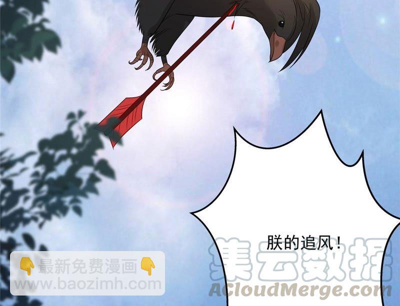 第139话 这是朕的鸟！(1/2)-第142话