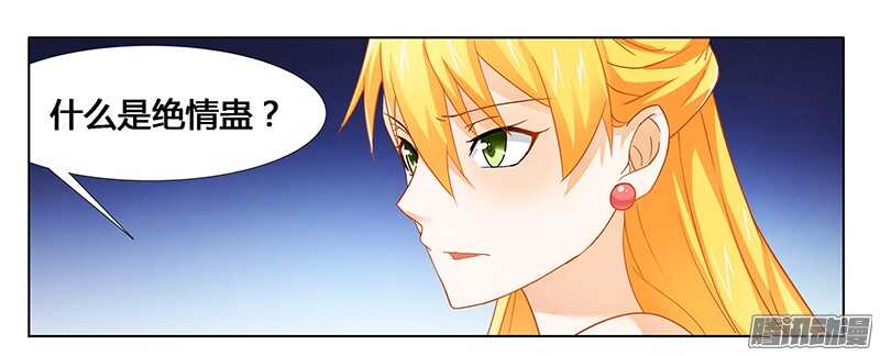 第28话 我的女人-第28话