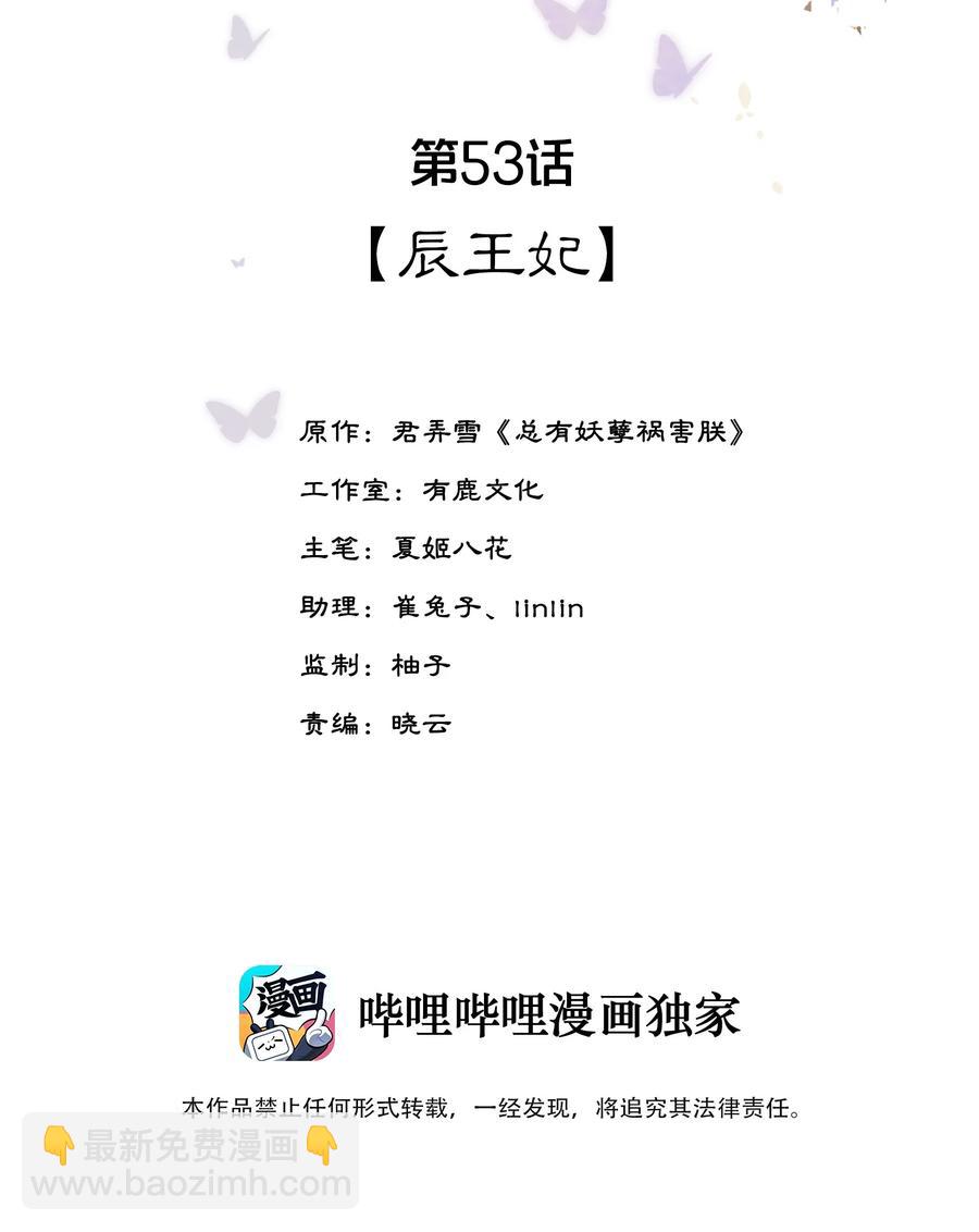 第53话 辰王妃-第54话