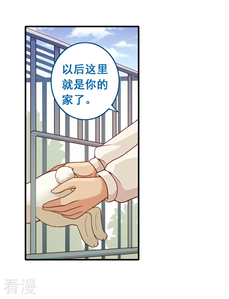 第92话 第七十二课：人与玩具-第92话