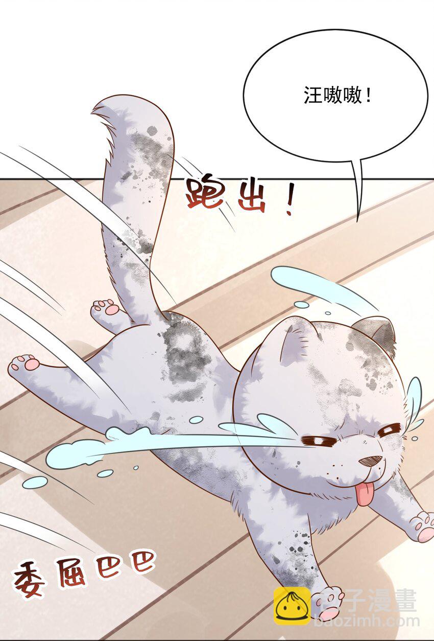 45 试验成功-第46话