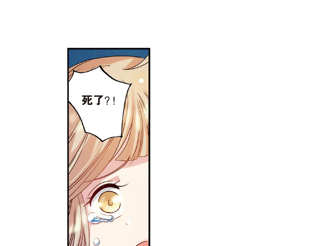 第6话（下） 枯木逢春再生发-第12话