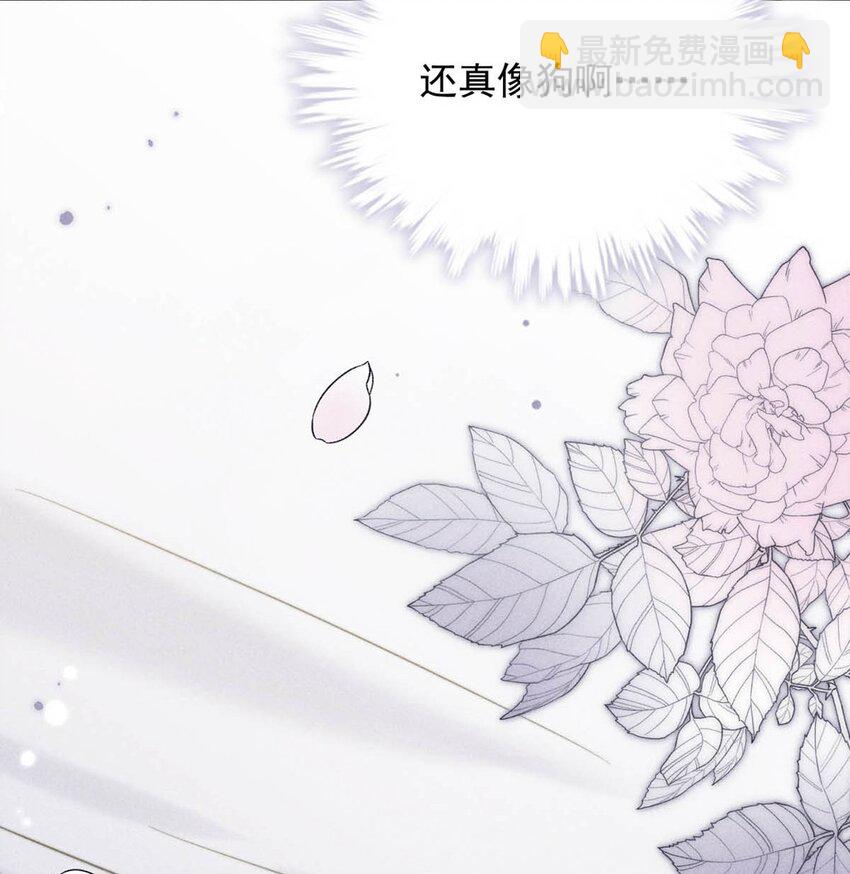 009 男人就像狗。(1/2)-第10话
