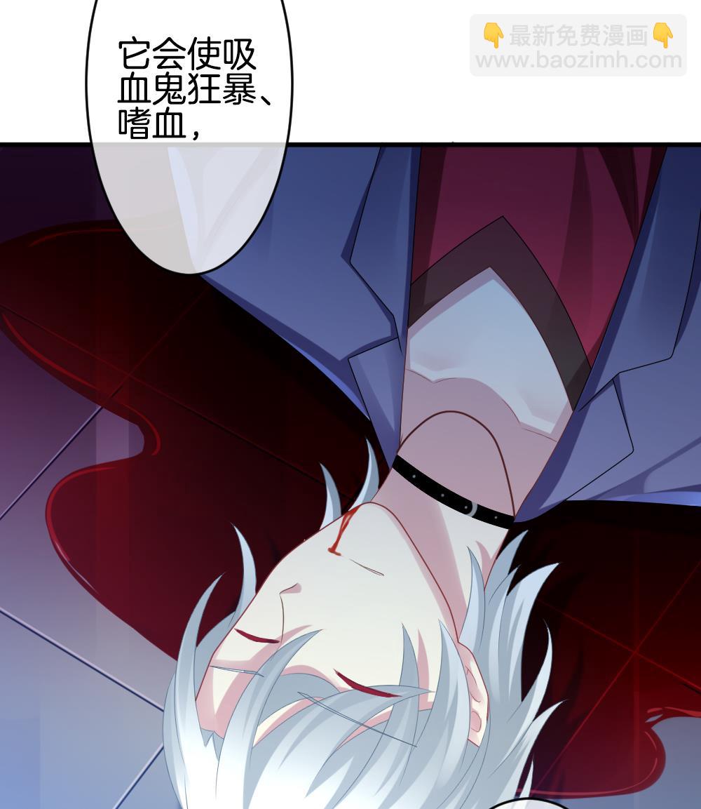 🍻拂晓的花嫁 第247话 爱与责任 1 第31页