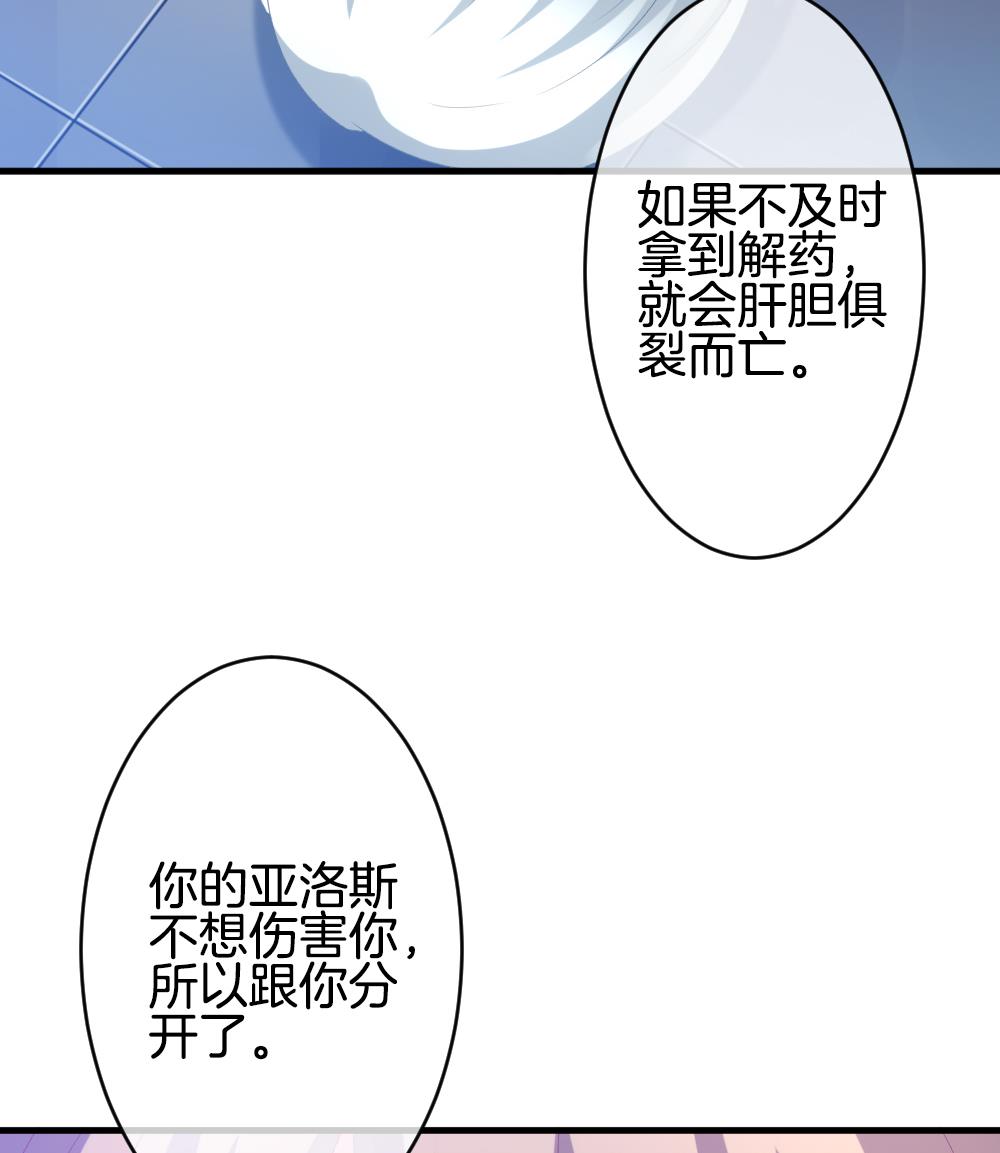 🍻拂晓的花嫁 第247话 爱与责任 1 第32页