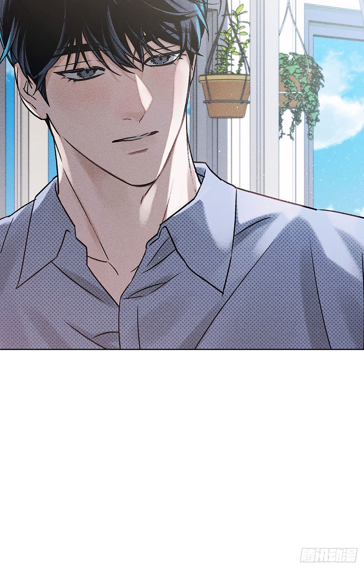 第5话(1/2)-第6话