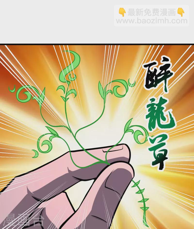 第313话 醉龙草-第320话