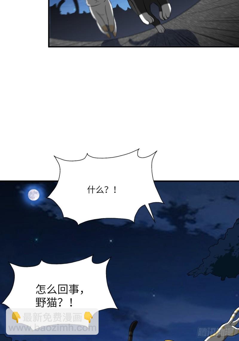 068死神方糖糖(1/2)-第70话