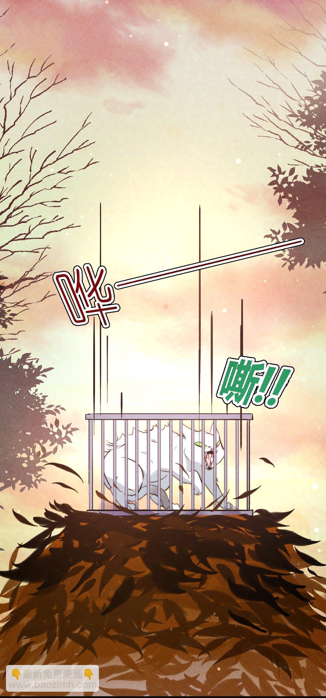 49 4F：小咪-第58话