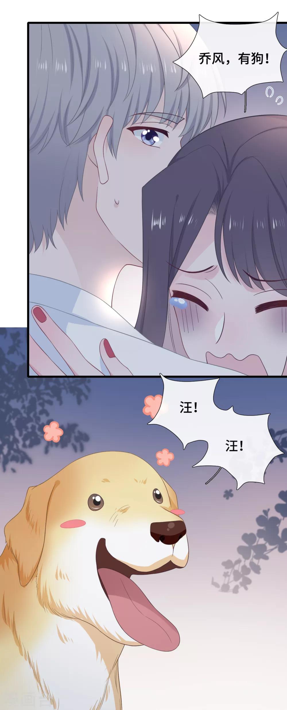 第25话 树袋熊拥抱-第42话