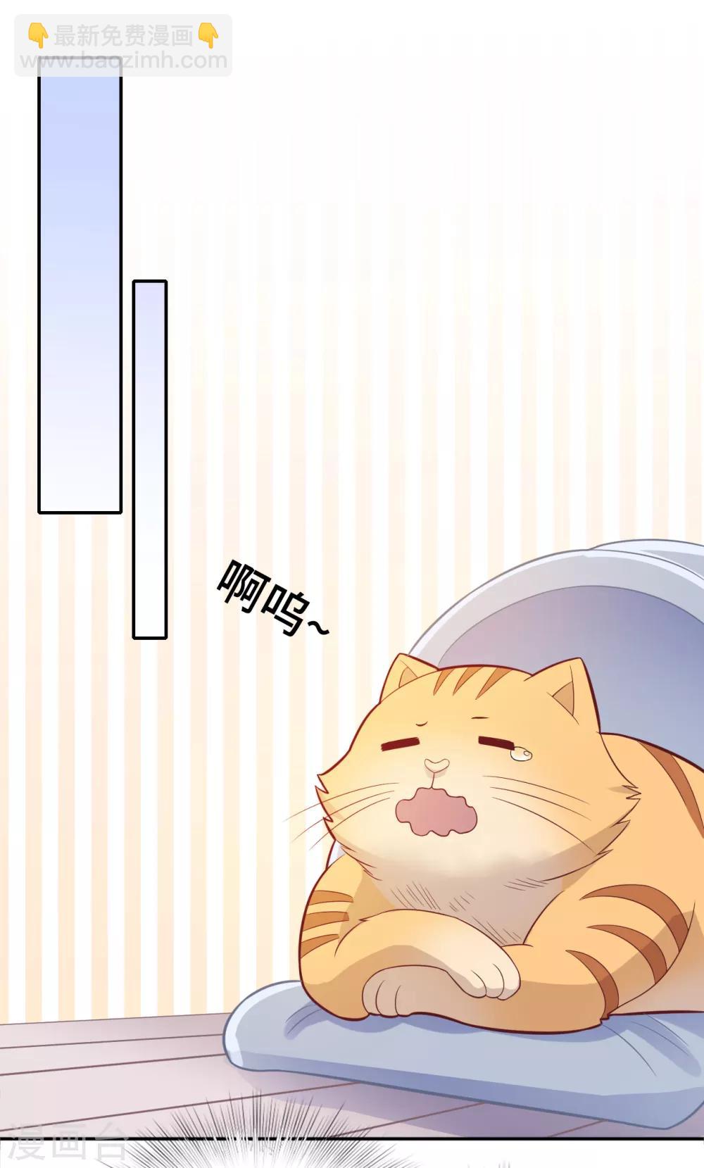 第71话 爱心午餐-第88话