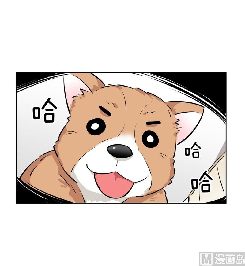 118(第118回 一杯红酒就醉了02)-第118话