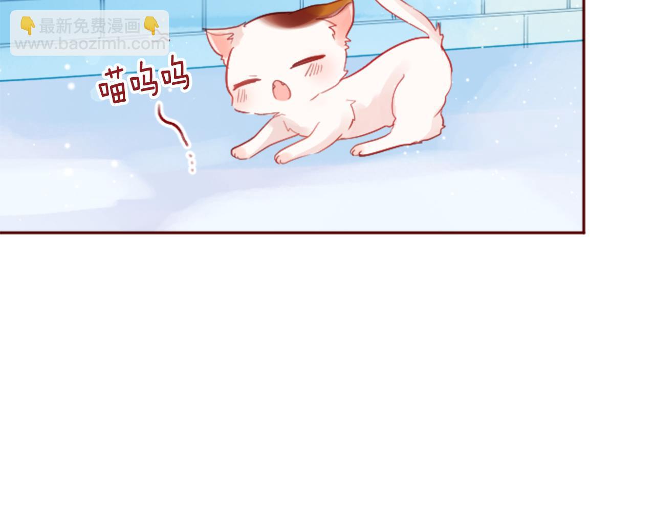 🍸哥哥~请你收养喵 第117话 孤独的人 第14页